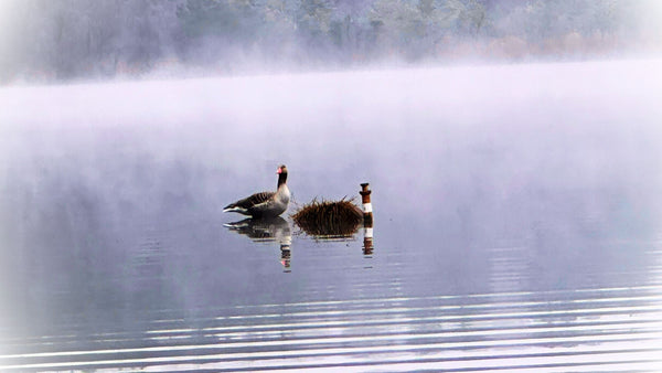 Nachhaltige Produktion am Nendlberg: Wie cagoon im Einklang mit der Natur arbeitet