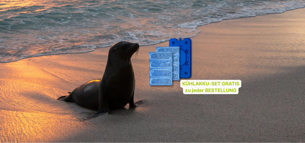 Strand mit Robbe und Aktion KÜHLAKKU SET gratis dazu