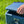 AEROSTUFFY Box L blau - Deckel wird gerade aufgesetzt