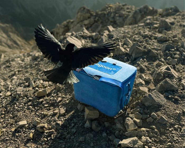 Der AEROSTUFFY auf dem Gipfel des Watzmann (2.713 m). Foto: Johannes Ebert.