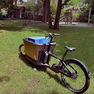 AEROSTUFFY L blau im Riese & Müller Cargobike Rückansicht
